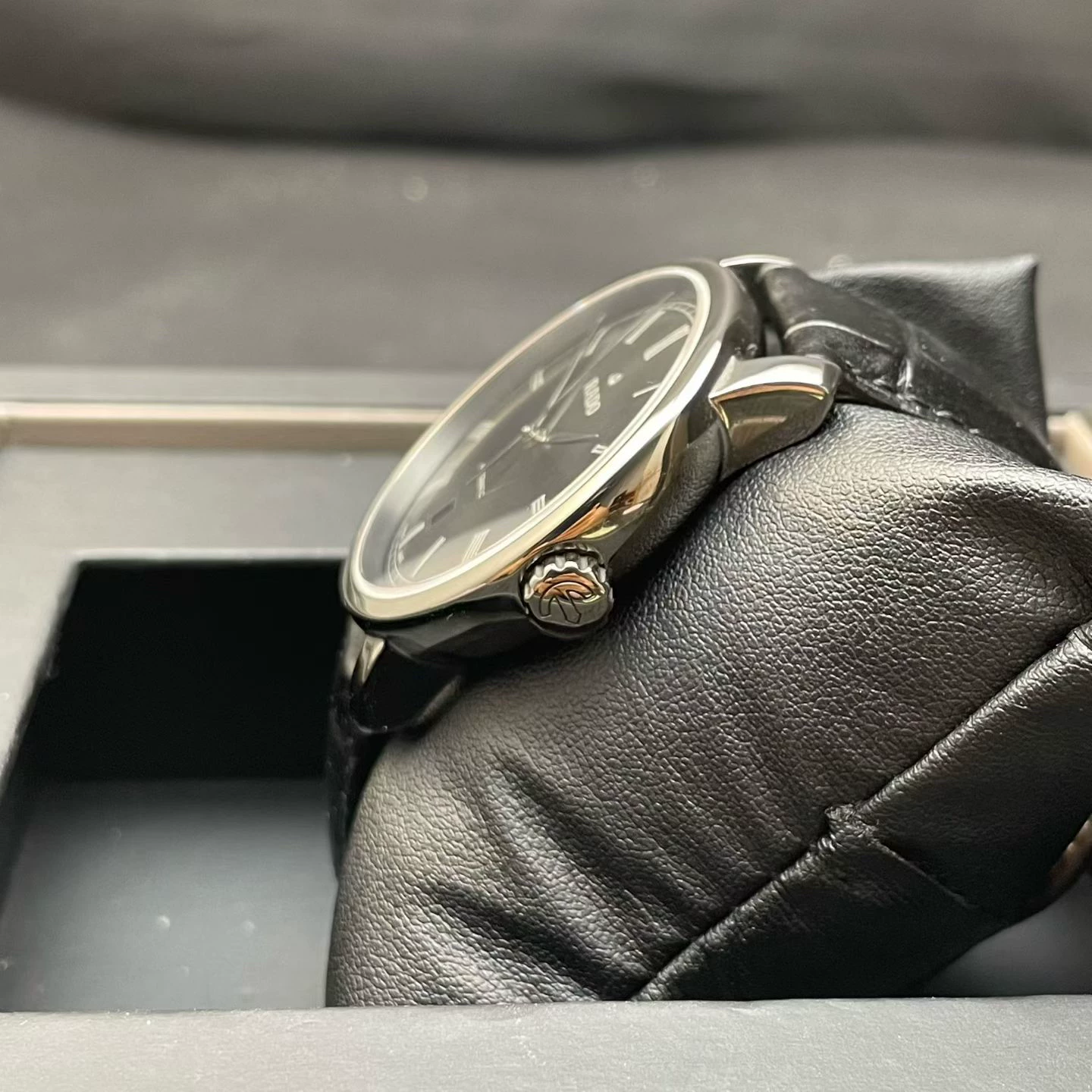 Coroa e lateral da caixa — Rado DiaMaster